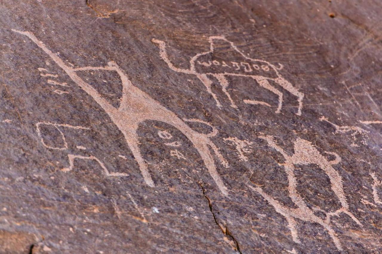Hotel Harmony Luxury Camp Wadi Rum Zewnętrze zdjęcie