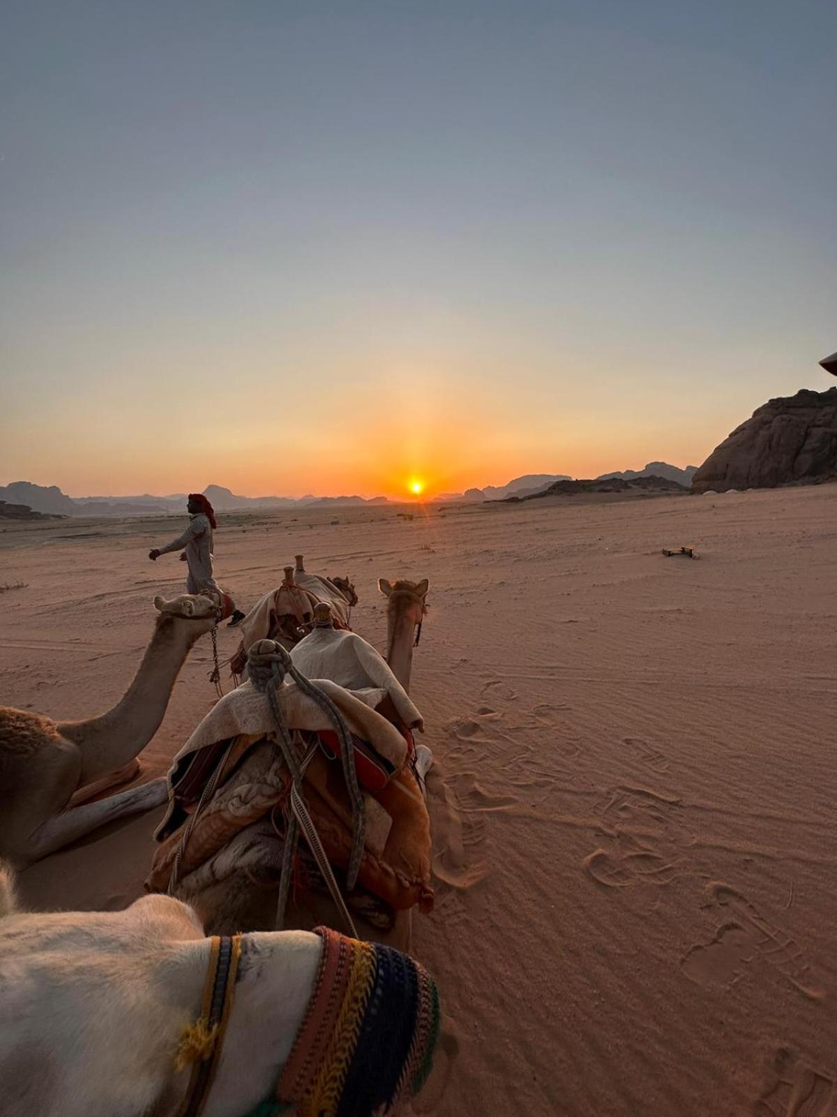 Hotel Harmony Luxury Camp Wadi Rum Zewnętrze zdjęcie